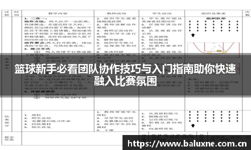 篮球新手必看团队协作技巧与入门指南助你快速融入比赛氛围