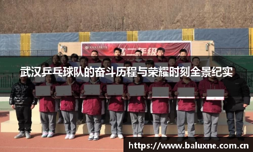 武汉乒乓球队的奋斗历程与荣耀时刻全景纪实
